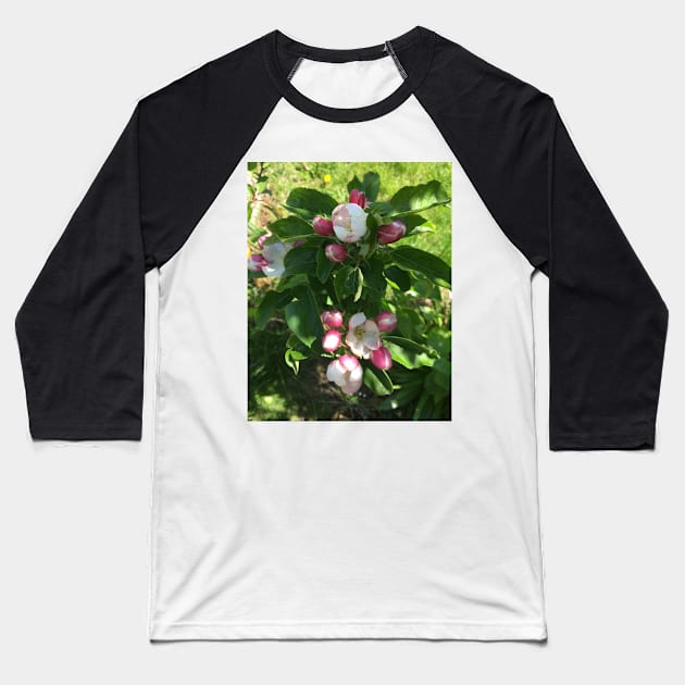 Abundant Apple Blossoms Baseball T-Shirt by Amanda1775